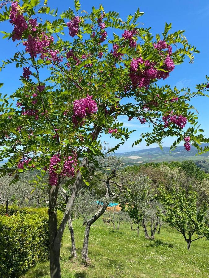 Casa Di Coraggio Villa Volterra Luaran gambar